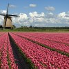 Netherlands